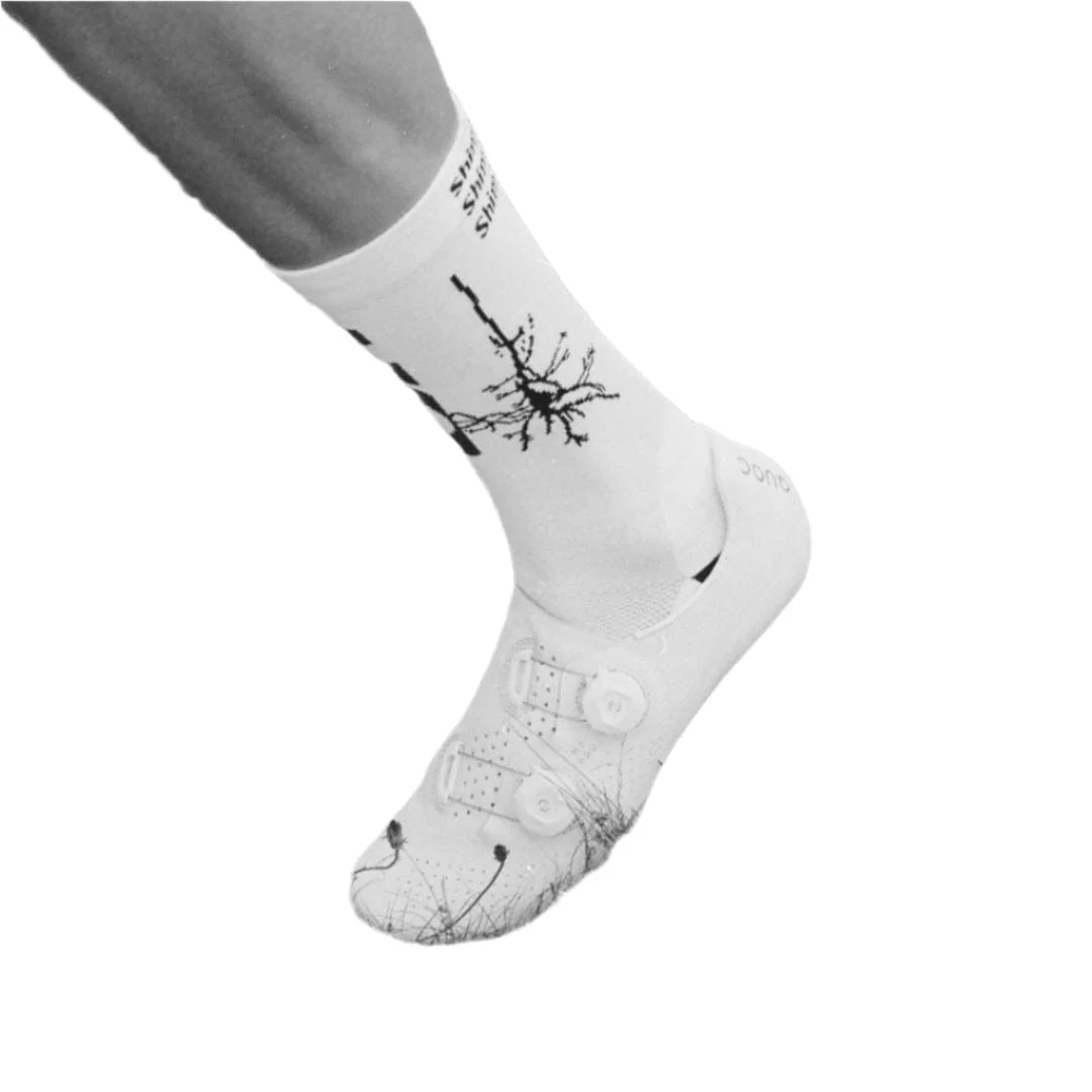 Shim's Ride Dendrite (knit) Socks - Image 2