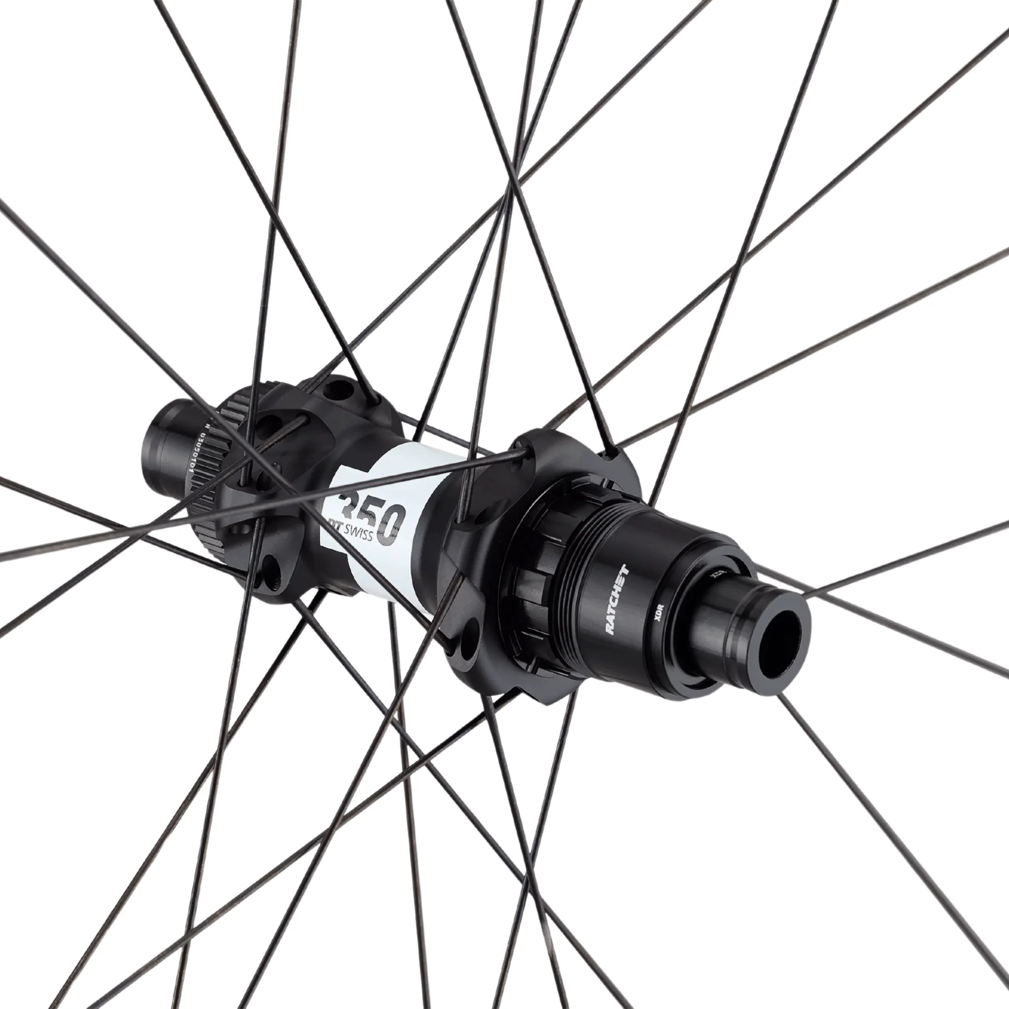 Specialized Terra CL III Wheel - Image 5